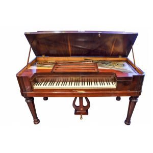 Schiedmayer Söhne Stuttgart Piyano - 