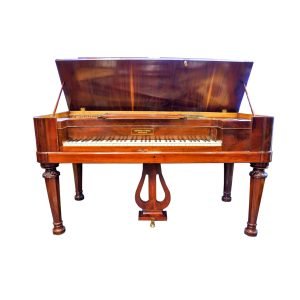 Schiedmayer Söhne Stuttgart Piyano - 